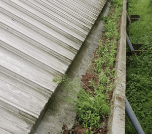 Happy customers in Hatfield who trust The Roof Moss Cleaners for gutter cleaning services