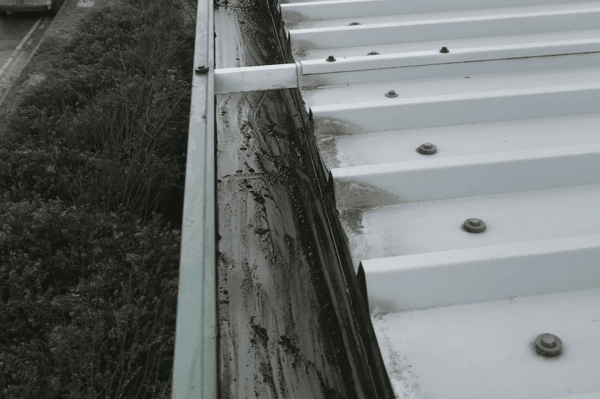 Commercial gutter cleaning specialists in Hatfield